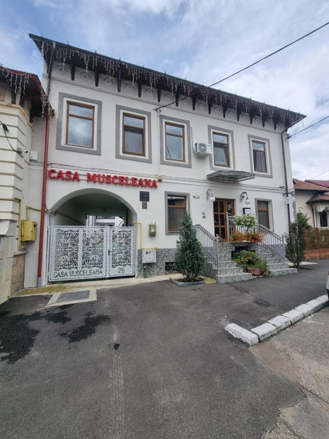 Casa Musceleana Hotel Campulung Ngoại thất bức ảnh